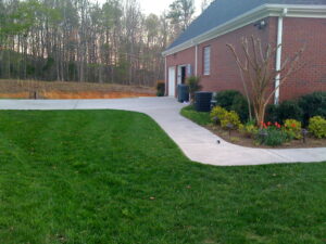 A backyard with grass and trees in the background.