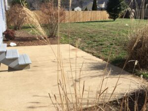 A concrete slab with grass growing in it.