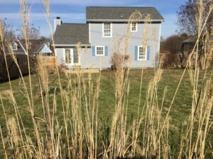 A house with blue shutters and tall grass in the foreground.