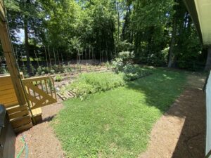 A wooden bench in the middle of a yard.