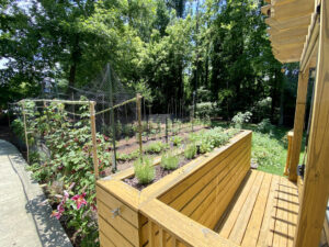 A wooden bench in the middle of a garden.