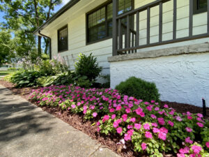 A house with flowers in front of it