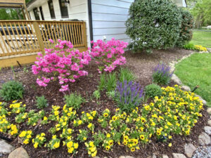 A garden with flowers and bushes in the background.