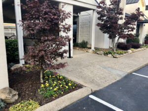 A sidewalk with flowers and trees in the middle of it.