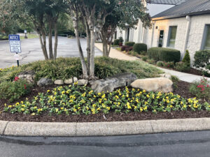 A flower bed with yellow flowers in the middle of it.