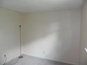 A lamp is in the corner of a room.