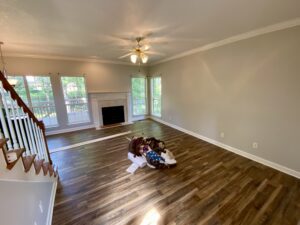 A living room with hard wood floors and two dogs laying on the floor.