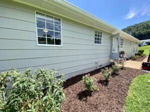 A house with some bushes and flowers in the yard