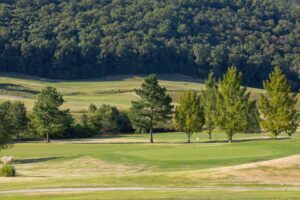 A golf course with trees and grass in the foreground.