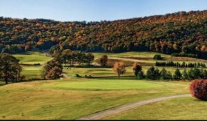 A view of a golf course with trees in the background.