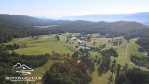 A view of some green hills and trees from above.