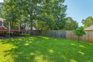 A lawn of a house with freshly cut grass and a tree giving shade