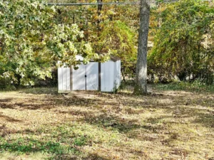 A small dog house in white with trees all around