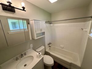 White bathroom with shower and tub.